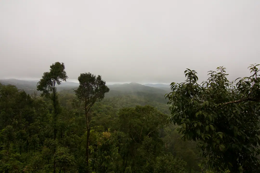 Explore the foggy landscape of Madikeri, Coorg with lush green hills and mist-covered forests.