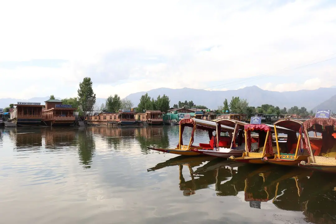 Colorful shikaras resting on the serene waters of Dal Lake, Srinagar with mountains in the backdrop.