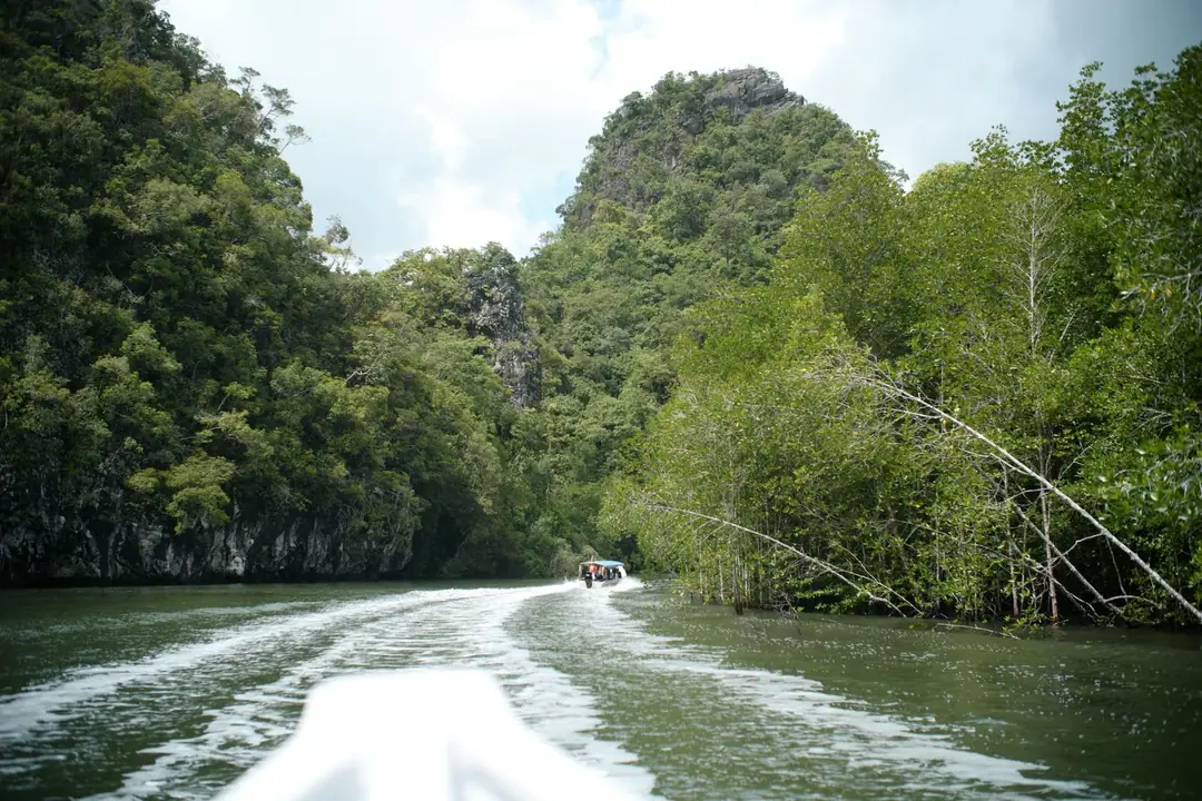 Experience a tranquil boat journey along the lush mangrove-lined rivers of Langkawi, Malaysia.