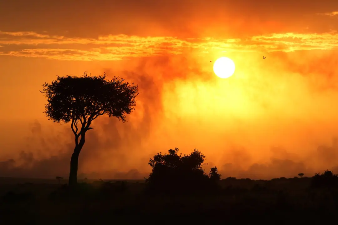 Beautiful orange sunset in Narok, Kenya, capturing the silhouette of a lone tree and vast savanna.
