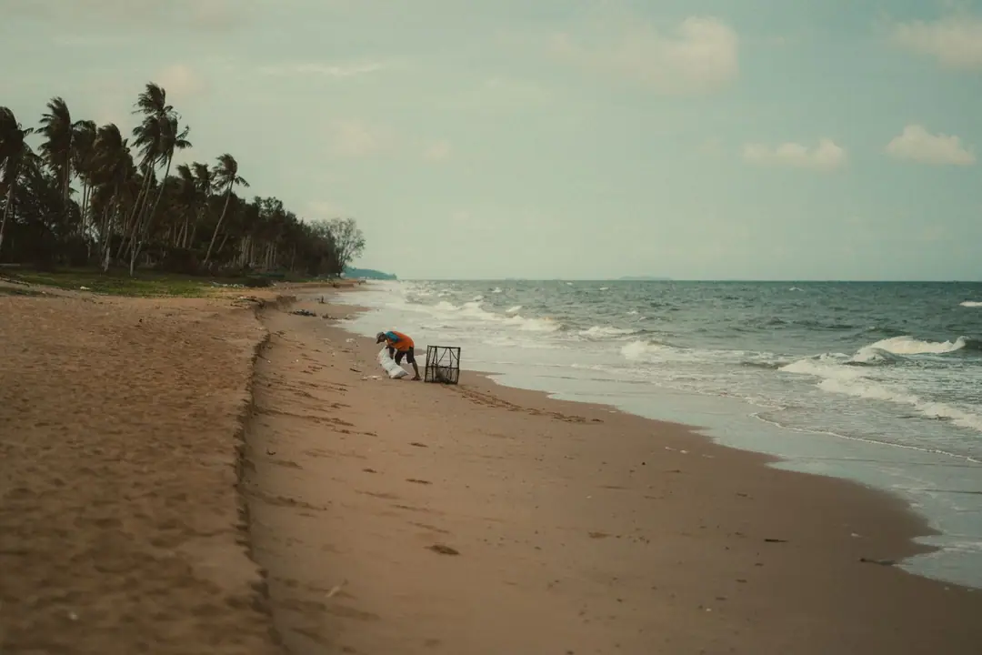 Peaceful day at the beach in Phu Quoc with palm trees and ocean waves.