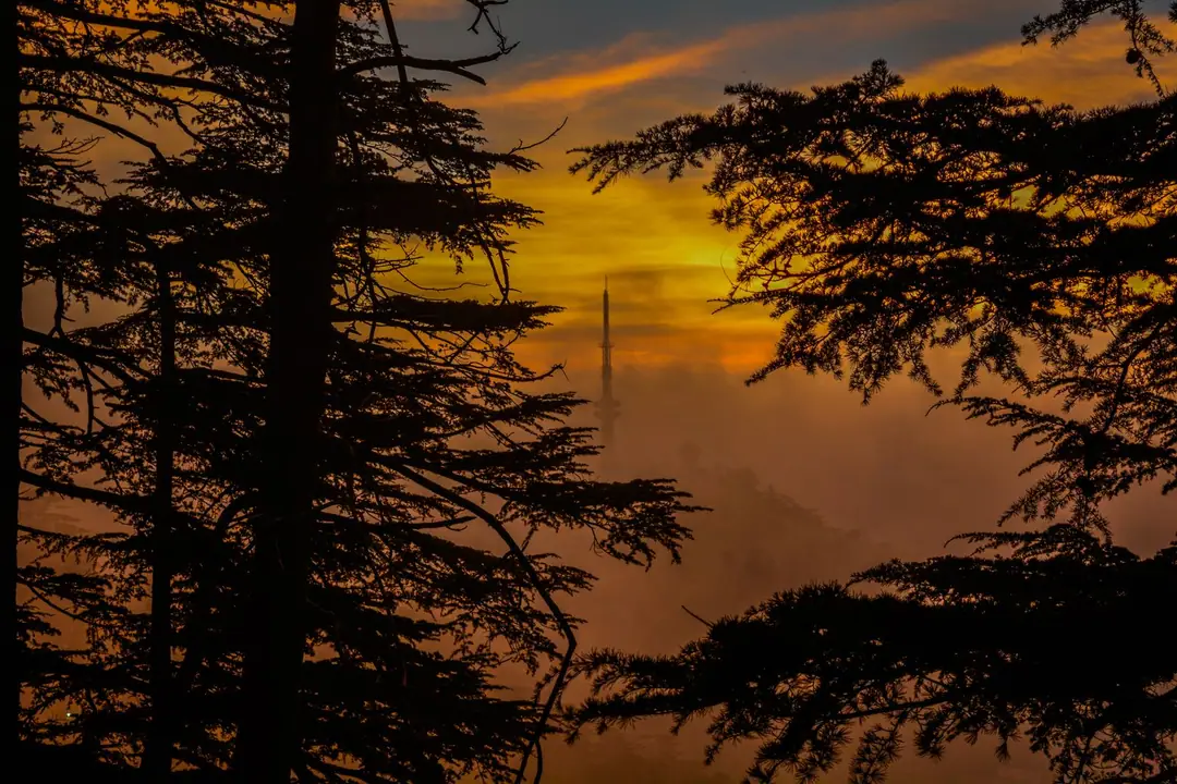 Serene sunset view with a tower silhouette framed by trees in Shimla, India.