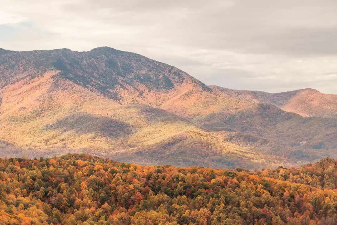 Beautiful autumn landscape of the Great Smoky Mountains with vibrant fall foliage.